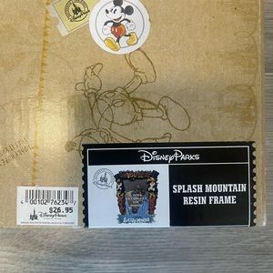 Disney Picture Frame - Splash Mountain